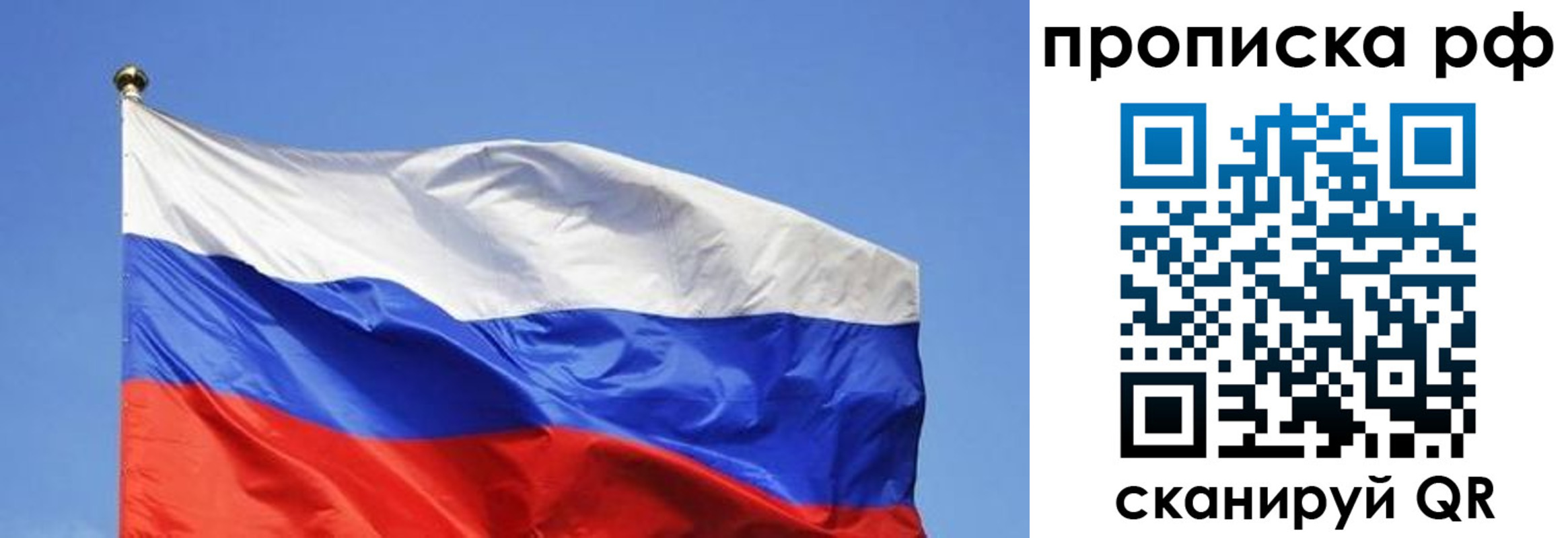 прописка штамп в Брянской области