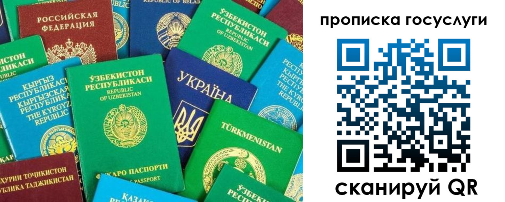 временная регистрация для всех в Брянской области